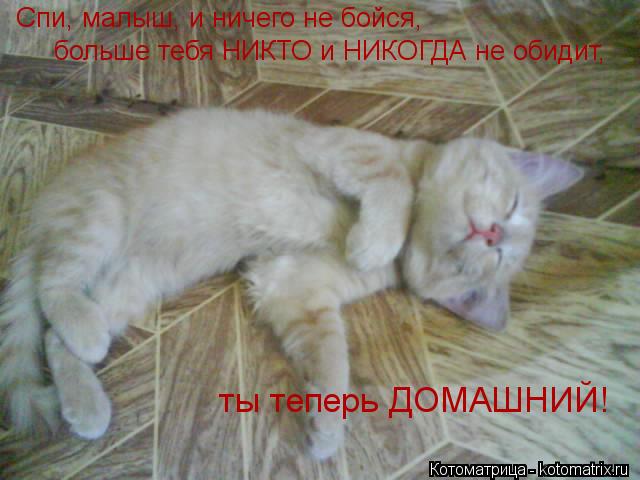 Спи, малыш, и ничего не бойся, больше тебя НИКТО и НИКОГДА не обидит, ты теперь ДОМАШНИЙ!... Котоматрица: Спи, малыш, и ничего не бойся, больше тебя НИКТО и НИКОГДА не обидит, ты теперь ДОМАШНИЙ!