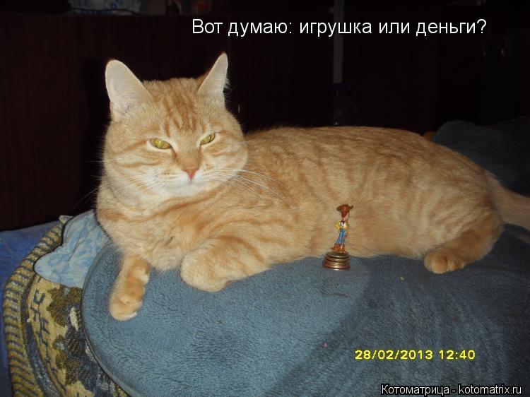 Вот думаю: игрушка или деньги?... Котоматрица: Вот думаю: игрушка или деньги?