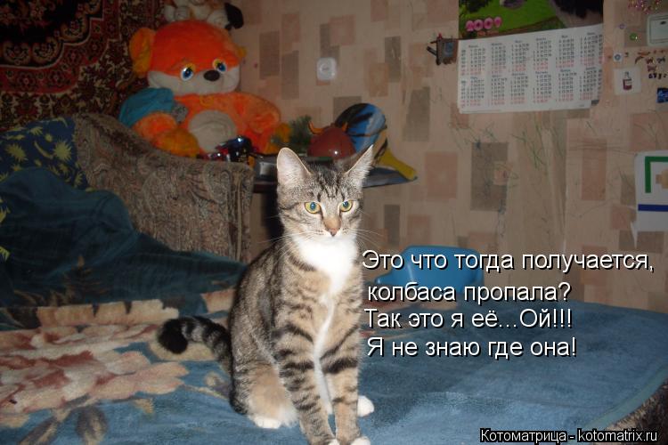 Это что тогда получается, колбаса пропала? Так это я её...Ой!!! Я не знаю где она!... Котоматрица: Это что тогда получается, колбаса пропала? Так это я её...Ой!!! Я не знаю где она!