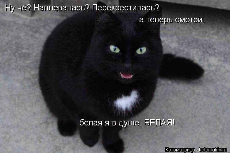 Ну чё? Наплевалась? Перекрестилась? а теперь смотри: белая я в душе, БЕЛАЯ!... Котоматрица: Ну чё? Наплевалась? Перекрестилась? а теперь смотри: белая я в душе, БЕЛАЯ!