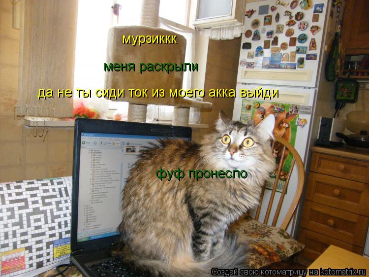 мурзиккк меня раскрыли да не ты сиди ток из моего акка выйди фуф пронесло... Котоматрица: мурзиккк меня раскрыли да не ты сиди ток из моего акка выйди фуф пронесло