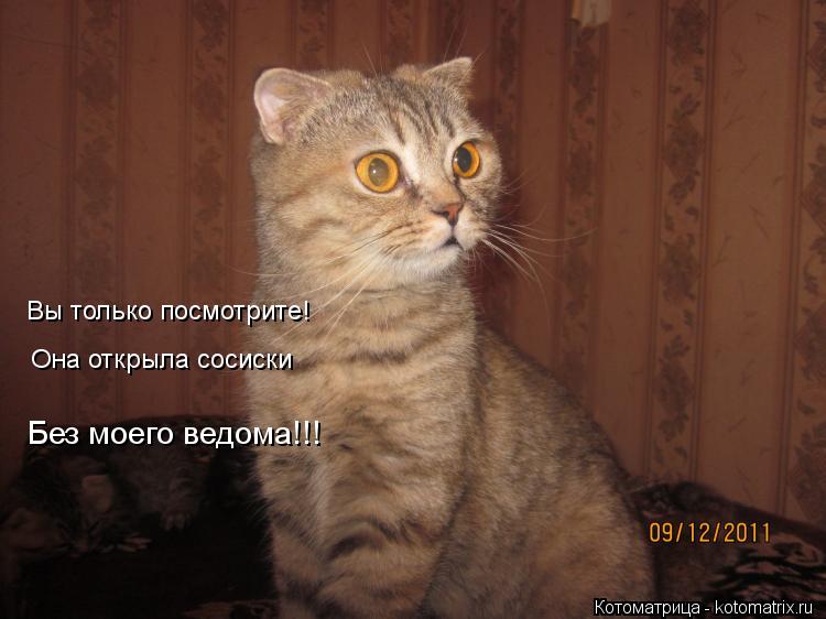 Вы только посмотрите! Она открыла сосиски Без моего ведома!!!... Котоматрица: Вы только посмотрите! Она открыла сосиски Без моего ведома!!!