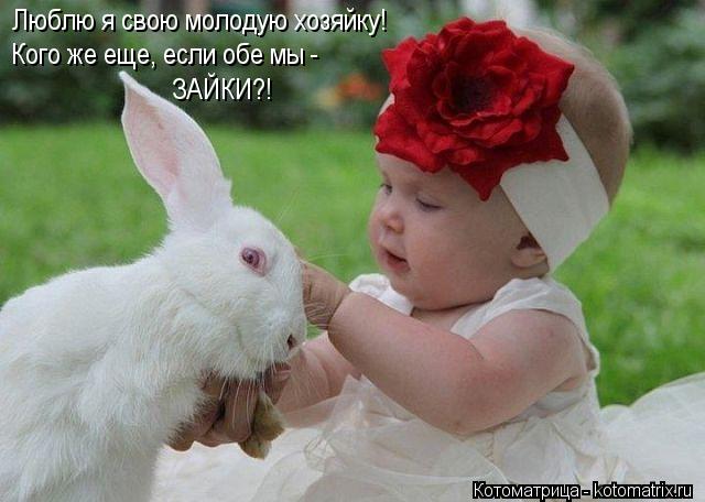 Люблю я свою молодую хозяйку! Кого же еще, если обе мы - ЗАЙКИ?!... Котоматрица: Люблю я свою молодую хозяйку! Кого же еще, если обе мы - ЗАЙКИ?!