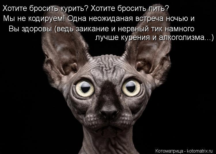 Хотите бросить курить? Хотите бросить пить? Мы не кодируем! Одна неожиданая встреча ночью и Вы здор... Котоматрица: Хотите бросить курить? Хотите бросить пить? Мы не кодируем! Одна неожиданая встреча ночью и Вы здоровы (ведь заикание и нервный тик намного