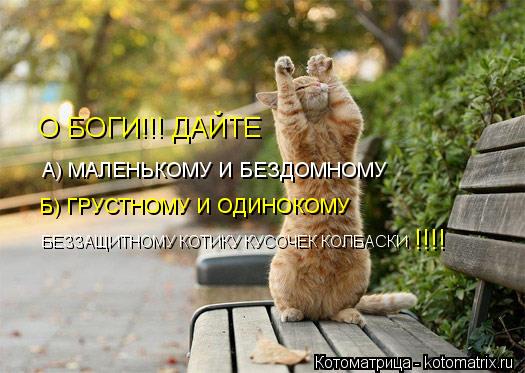А) МАЛЕНЬКОМУ И БЕЗДОМНОМУ Б) ГРУСТНОМУ И ОДИНОКОМУ БЕЗЗАЩИТНОМУ КОТИКУ КУСОЧЕК КОЛБАСКИ О БОГИ!!! ДА... Котоматрица: А) МАЛЕНЬКОМУ И БЕЗДОМНОМУ Б) ГРУСТНОМУ И ОДИНОКОМУ БЕЗЗАЩИТНОМУ КОТИКУ КУСОЧЕК КОЛБАСКИ О БОГИ!!! ДАЙТЕ !!!!
