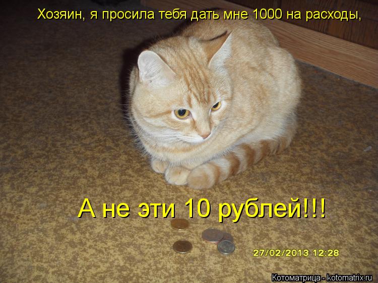 Хозяин, я просила тебя дать мне 1000 на расходы, А не эти 10 рублей!!!... Котоматрица: Хозяин, я просила тебя дать мне 1000 на расходы, А не эти 10 рублей!!!