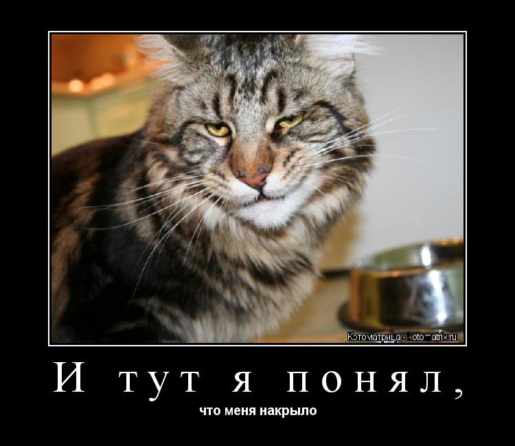И тут я понял, что меня накрыло... Котоматрица: И тут я понял, что меня накрыло
