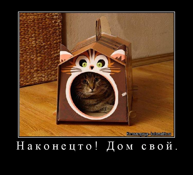 Наконецто! Дом свой. ... Котоматрица: Наконецто! Дом свой.