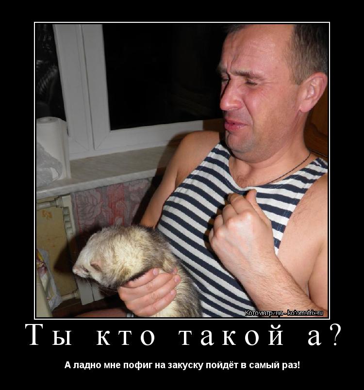Ты кто такой а? А ладно мне пофиг на закуску пойдёт в самый раз!... Котоматрица: Ты кто такой а? А ладно мне пофиг на закуску пойдёт в самый раз!