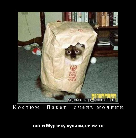 Костюм "Пакет" очень модный вот и Мурзику купили,зачем то... Котоматрица: Костюм "Пакет" очень модный вот и Мурзику купили,зачем то