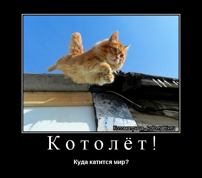Котолёт! Куда катится мир?... Котоматрица: Котолёт! Куда катится мир?