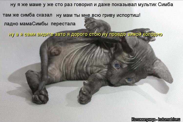 ну я же маме у же сто раз говорил и даже показывал мультик Симба там же симба сказал ну мам ты мне вс... Котоматрица: ну я же маме у же сто раз говорил и даже показывал мультик Симба там же симба сказал ну мам ты мне всю гриву испортиш! ладно мамаСимбы перест