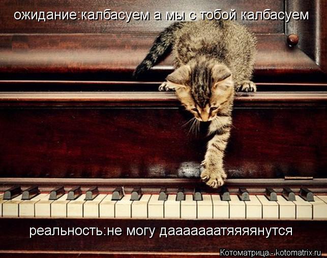 ожидание:калбасуем а мы с тобой калбасуем реальность:не могу дааааааатяяяянутся... Котоматрица: ожидание:калбасуем а мы с тобой калбасуем реальность:не могу дааааааатяяяянутся