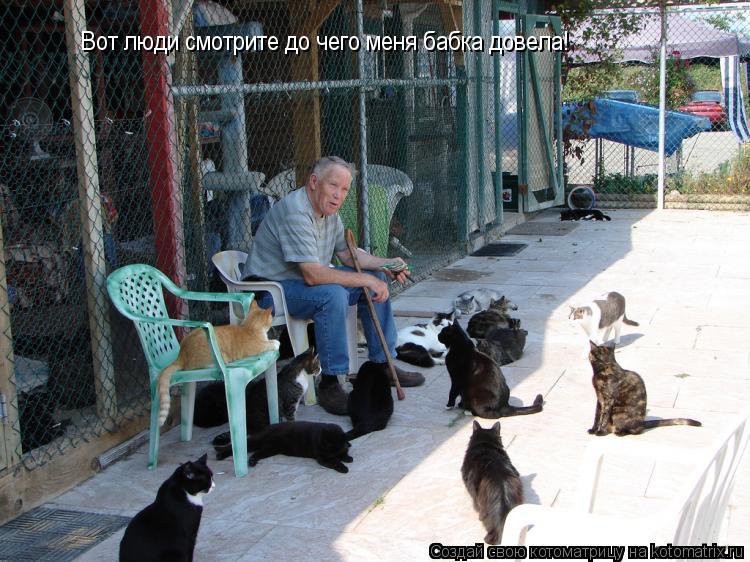 Вот люди смотрите до чего меня бабка довела!... Котоматрица: Вот люди смотрите до чего меня бабка довела!