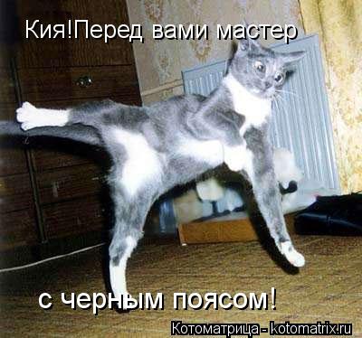 Кия!Перед вами мастер с черным поясом!... Котоматрица: Кия!Перед вами мастер с черным поясом!