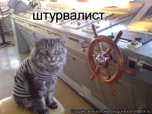 штурвалист... Котоматрица: штурвалист
