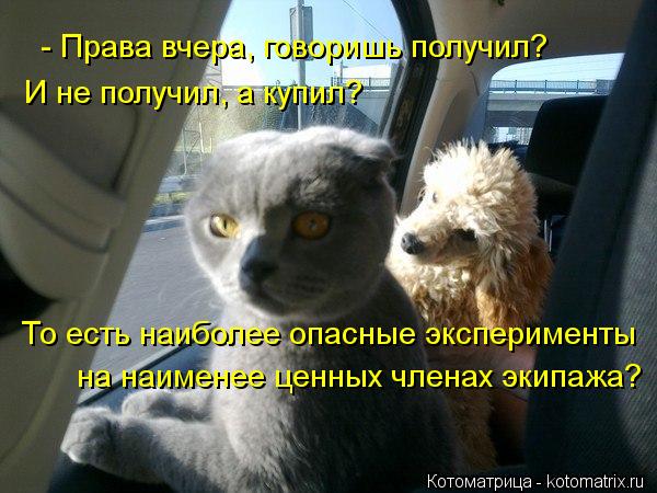 - Права вчера, говоришь получил? И не получил, а купил? То есть наиболее опасные эксперименты на наим... Котоматрица: - Права вчера, говоришь получил? И не получил, а купил? То есть наиболее опасные эксперименты на наименее ценных членах экипажа?