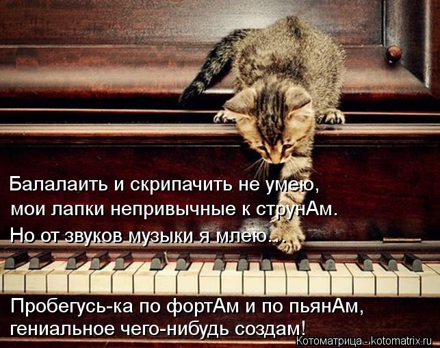 Балалаить и скрипачить не умею, мои лапки непривычные к струнАм. Но от звуков музыки я млею… Пробегус... Котоматрица: Балалаить и скрипачить не умею, мои лапки непривычные к струнАм. Но от звуков музыки я млею… Пробегусь-ка по фортАм и по пьянАм, гениальное