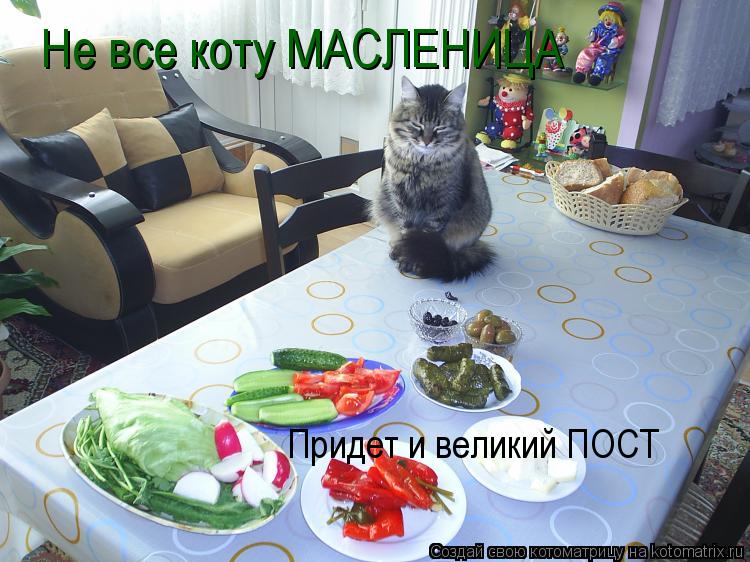 Не все коту МАСЛЕНИЦА Придет и великий ПОСТ... Котоматрица: Не все коту МАСЛЕНИЦА Придет и великий ПОСТ