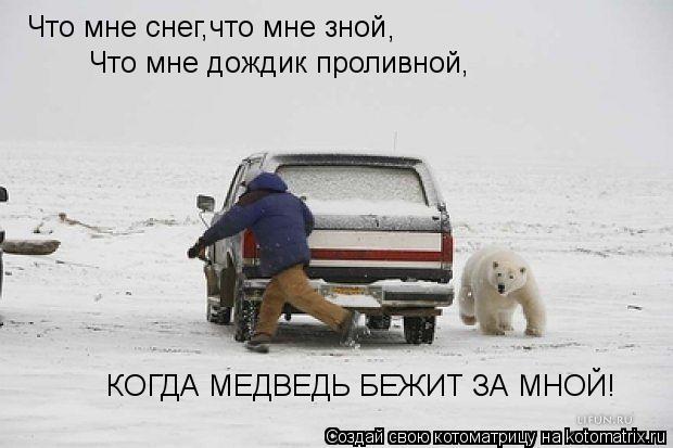 Что мне снег,что мне зной Что мне дождик проливной, КОГДА МЕДВЕДЬ БЕЖИТ ЗА МНОЙ! ,... Котоматрица: Что мне снег,что мне зной Что мне дождик проливной, КОГДА МЕДВЕДЬ БЕЖИТ ЗА МНОЙ! ,