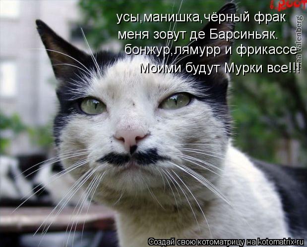 усы,манишка,чёрный фрак меня зовут де Барсиньяк. бонжур,лямурр и фрикассе Моими будут Мурки все!!!... Котоматрица: усы,манишка,чёрный фрак меня зовут де Барсиньяк. бонжур,лямурр и фрикассе Моими будут Мурки все!!!
