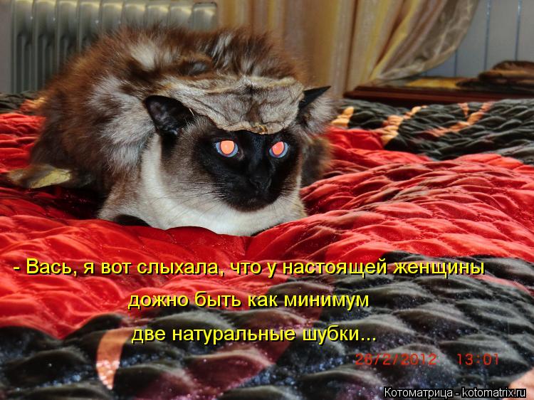 - Вась, я вот слыхала, что у настоящей женщины дожно быть как минимум две натуральные шубки...... Котоматрица: - Вась, я вот слыхала, что у настоящей женщины дожно быть как минимум две натуральные шубки...