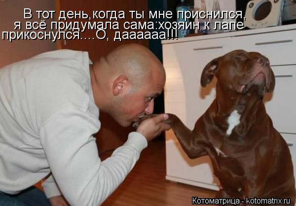 В тот день,когда ты мне приснился, я всё придумала сама:хозяин к лапе прикоснулся....О, даааааа!!!... Котоматрица: В тот день,когда ты мне приснился, я всё придумала сама:хозяин к лапе прикоснулся....О, даааааа!!!