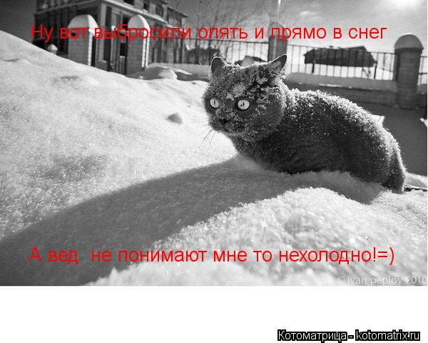Ну вот выбросили опять и прямо в снег А вед не понимают мне то нехолодно!=)... Котоматрица: Ну вот выбросили опять и прямо в снег А вед не понимают мне то нехолодно!=)