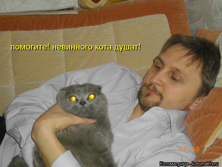 помогите! невинного кота душат!... Котоматрица: помогите! невинного кота душат!