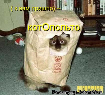 котОпольто ( к вам пришло) --... Котоматрица: котОпольто ( к вам пришло) --