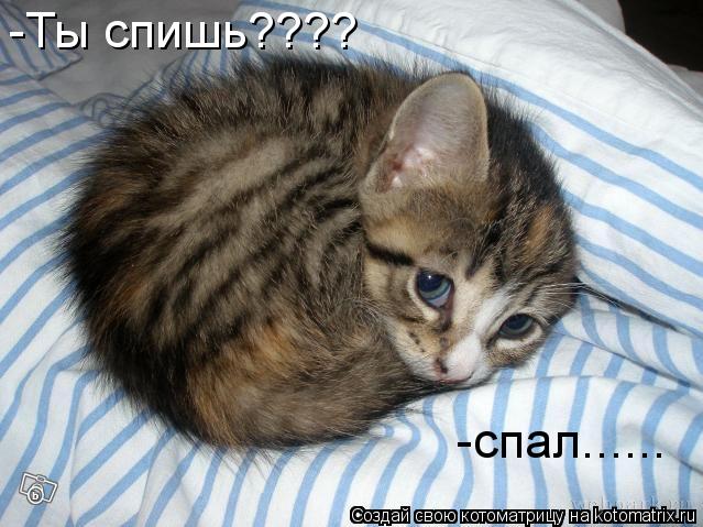 -спал...... -Ты спишь????... Котоматрица: -спал...... -Ты спишь????
