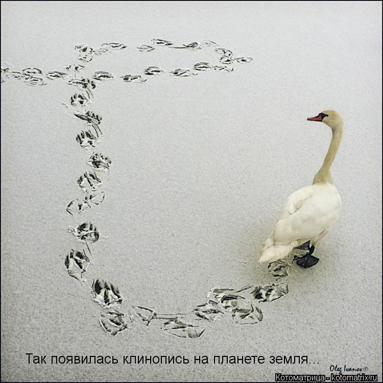 Так появилась клинопись на планете земля...... Котоматрица: Так появилась клинопись на планете земля...
