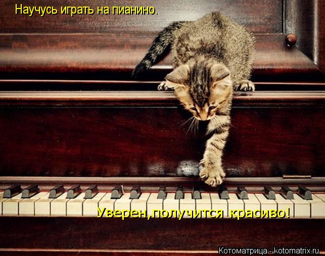 Научусь играть на пианино. Уверен,получится красиво!... Котоматрица: Научусь играть на пианино. Уверен,получится красиво!