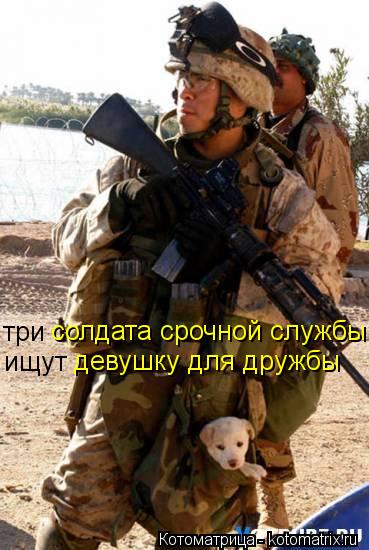 три солдата срочной службы ищут девушку для дружбы... Котоматрица: три солдата срочной службы ищут девушку для дружбы