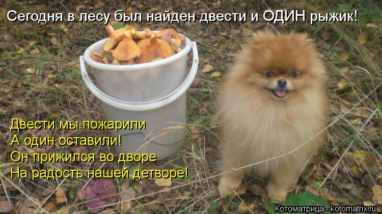 http://kotomatrix.ru/images/lolz/2013/03/02/kotomatritsa_Fs.jpg