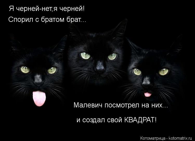 Я черней-нет,я черней! Спорил с братом брат... Малевич посмотрел на них... и создал свой КВАДРАТ!... Котоматрица: Я черней-нет,я черней! Спорил с братом брат... Малевич посмотрел на них... и создал свой КВАДРАТ!