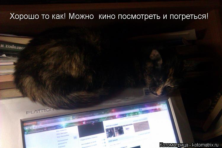 Хорошо то как! Можно кино посмотреть и погреться!... Котоматрица: Хорошо то как! Можно кино посмотреть и погреться!