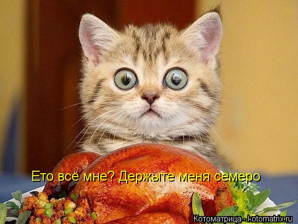Ето всё мне? Держыте меня семеро... Котоматрица: Ето всё мне? Держыте меня семеро