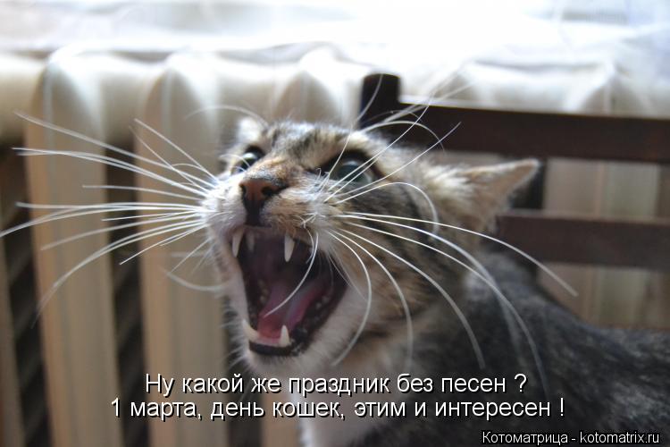 Ну какой же праздник без песен ? 1 марта, день кошек, этим и интересен !... Котоматрица: Ну какой же праздник без песен ? 1 марта, день кошек, этим и интересен !