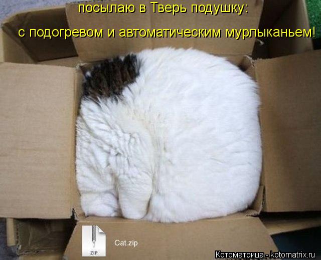 посылаю в Тверь подушку: с подогревом и автоматическим мурлыканьем!... Котоматрица: посылаю в Тверь подушку: с подогревом и автоматическим мурлыканьем!
