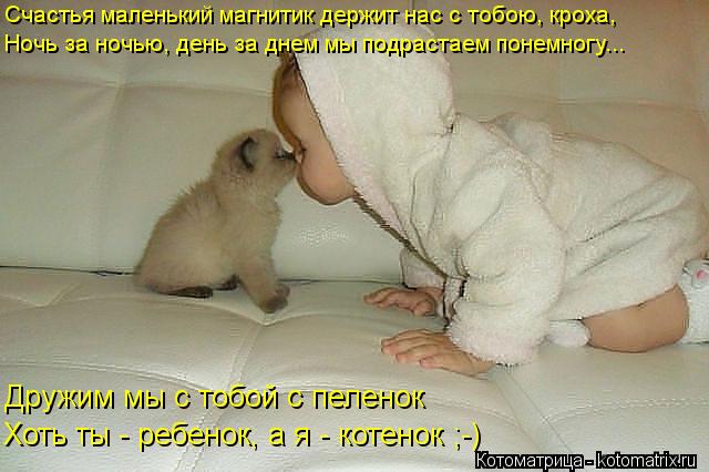 Счастья маленький магнитик держит нас с тобою, кроха, Ночь за ночью, день за днем мы подрастаем понем... Котоматрица: Счастья маленький магнитик держит нас с тобою, кроха, Ночь за ночью, день за днем мы подрастаем понемногу... Дружим мы с тобой с пеленок Хоть
