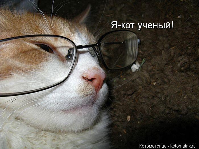 Я-кот ученый!... Котоматрица: Я-кот ученый!