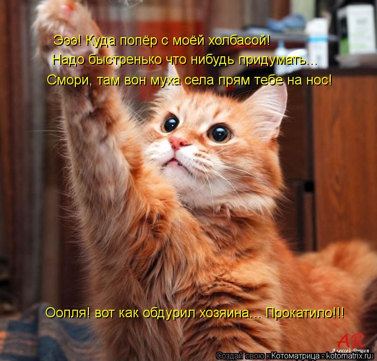 Эээ! Куда попёр с моёй холбасой! Надо быстренько что нибудь придумать... Смори, там вон муха села пря... Котоматрица: Эээ! Куда попёр с моёй холбасой! Надо быстренько что нибудь придумать... Смори, там вон муха села прям тебе на нос! Оопля! вот как обдурил хозя