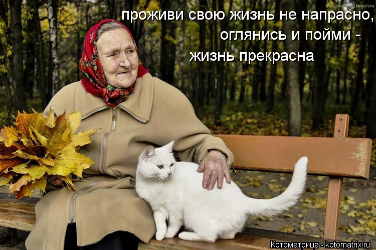 проживи свою жизнь не напрасно, оглянись и пойми - жизнь прекрасна... Котоматрица: проживи свою жизнь не напрасно, оглянись и пойми - жизнь прекрасна