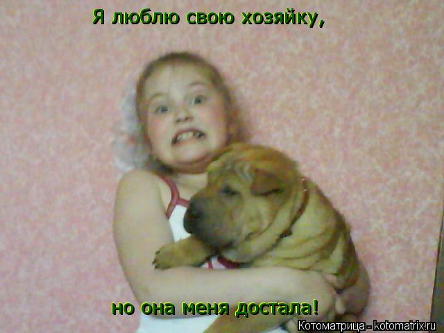 Я люблю свою хозяйку, Я люблю свою хозяйку, но она меня достала! но она меня достала! Я люблю свою хо... Котоматрица: Я люблю свою хозяйку, Я люблю свою хозяйку, но она меня достала! но она меня достала! Я люблю свою хозяйку,