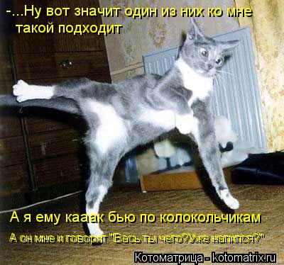 -...Ну вот значит один из них ко мне такой подходит А я ему кааак бью по колокольчикам А он мне и гов... Котоматрица: -...Ну вот значит один из них ко мне такой подходит А я ему кааак бью по колокольчикам А он мне и говорит "Вась ты чего?Уже напился?" А он мне и г