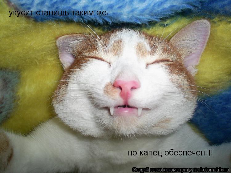 укусит станишь таким же , но капец обеспечен !!!... Котоматрица: укусит станишь таким же , но капец обеспечен !!!