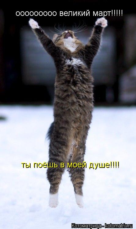 ооооооооо великий март!!!!! ты поёшь в моей душе!!!!... Котоматрица: ооооооооо великий март!!!!! ты поёшь в моей душе!!!!