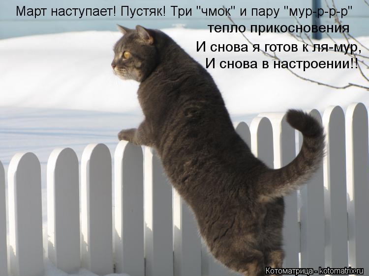 Март наступает! Пустяк! Три "чмок" и пару "мур-р-р-р" тепло прикосновения И снова я готов к ля-мур, И... Котоматрица: Март наступает! Пустяк! Три "чмок" и пару "мур-р-р-р" тепло прикосновения И снова я готов к ля-мур, И снова в настроении!!