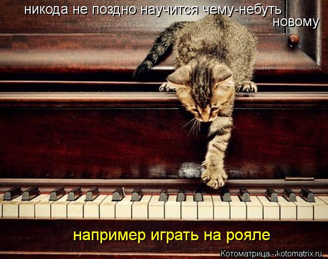 никода не поздно научится чему-небуть новому например играть на рояле... Котоматрица: никода не поздно научится чему-небуть новому например играть на рояле